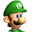 Luigi MKDD icon