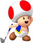 Toad MGWT