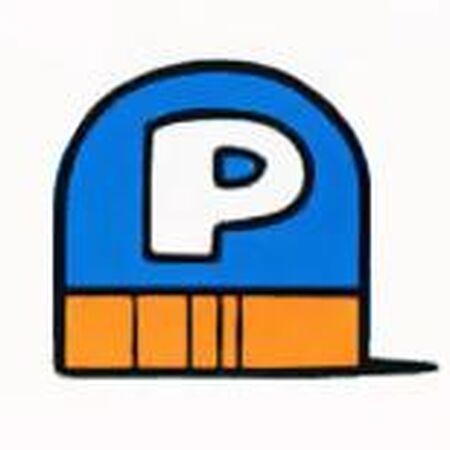 P Switch Mariowiki Fandom