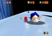 Penguin race