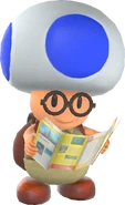 Image of Hint Toad reading a map from Super Mario Odyssey