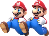SM3DWDoubleMario