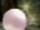Pearl.PNG
