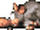 DKC2 Sprite Neek.png