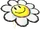 Grinseblumen-Gleiter