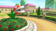 MK8DPeachGardens2.jpg (2,59 Mio)