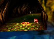 DK64 Screenshot Tropen Trubel Donkey Kong Bananen 9.png (76 KB) Donkey Kong 64