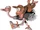 DKC Artwork Diddy Kong auf Expresso.jpg