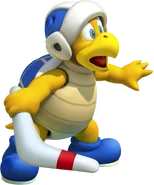 Boomerang Bro