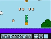 A Vine grows in the .