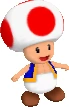Toad