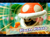 Plante Piñata