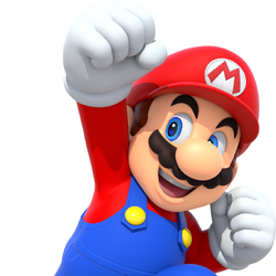 Rouge - Super Mario Wiki, the Mario encyclopedia