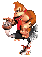 Donkey Kong Country