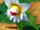 SMRPG NS Screenshot Löwenmaul.png