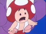 Toad's appearance in 