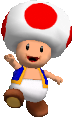 Toad