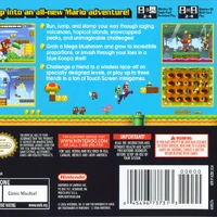 new super minecraft bros ds