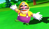 Wario.