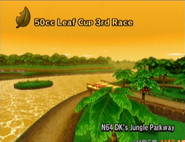 D.K.'s Jungle Parkway in Mario Kart Wii.
