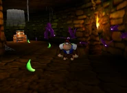 DK64 Screenshot Tropen Trubel Chunky Kong Bananen 3.png (66 KB) Donkey Kong 64