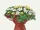 100px-SMO Flowers from Steam Gardens Souvenir.png