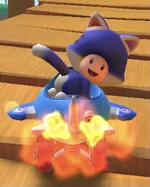 MKT Screenshot Katzen-Toad Sprungturbo 2