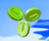 PièceVerte.png