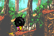 DKC2GBA Screenshot Dschungelzauber