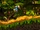 DKC3 Screenshot Flotte Fluss-Flitzerei 3.png