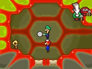 LumbarLook.png (63 KB)