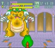 VS Bowser