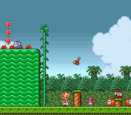 Toad, as seen in the All-Stars version of Super Mario Bros. 2