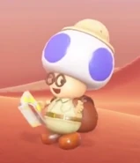 Screenshot of Hint Toad in Super Mario Odyssey