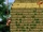 DKC Screenshot Tempo-Tempel 9.png