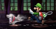Luigi versucht, Polterpinscher zu fangen