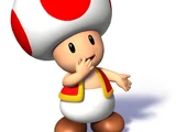 Toad