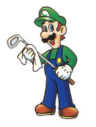MGGBC Artwork Luigi