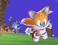 Tails Brawl screenshot