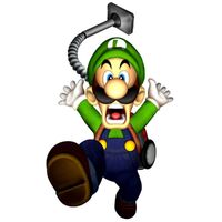 Luigi Mansion