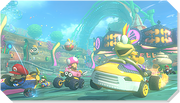 MK8 Screenshot Wasserfunktion