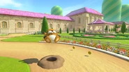 MK8DPeachGardens4.jpg (561 kio)