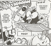 PidgitMarioKun.png