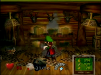 Safari Room