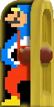 MarioBizarrePingouin.png (5 kio) Mario pingouin bizarre ouvrant un porte