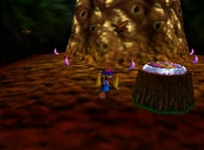 DK64 Screenshot Wunder Wald Tiny Kong Bananen 10.png (75 KB) Donkey Kong 64