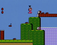 Shy Guys en Super Mario Bros. 2