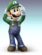 Luigi's artwork from Super Smash Bros. Brawl