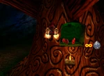 DK64 Screenshot Wunder Wald Diddy Kongs Bananenmünzen 5