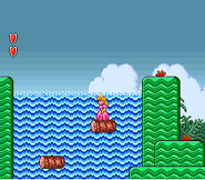 World 1-1 in the SNES/All-Stars version of Super Mario Bros. 2.